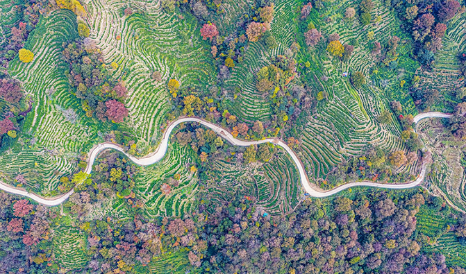 黃石溪：層林盡染美如畫