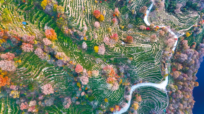 五彩山鄉(xiāng)惹人醉